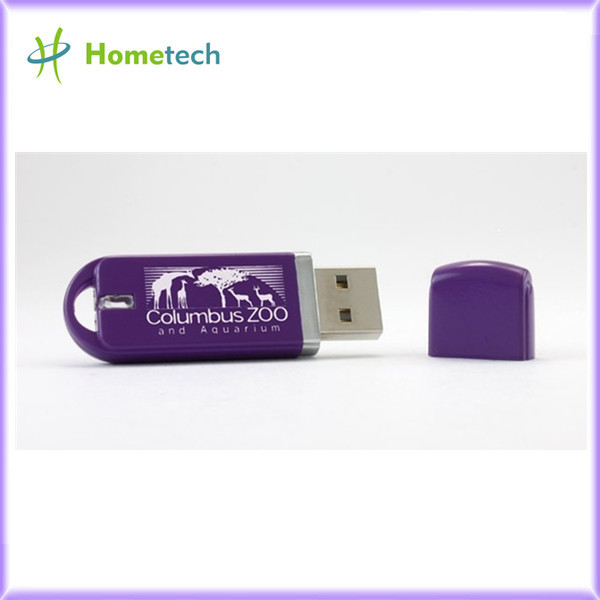 OEM Plastic rectangle Cheap Usb Flash Drives 4GB/8GB/16GB